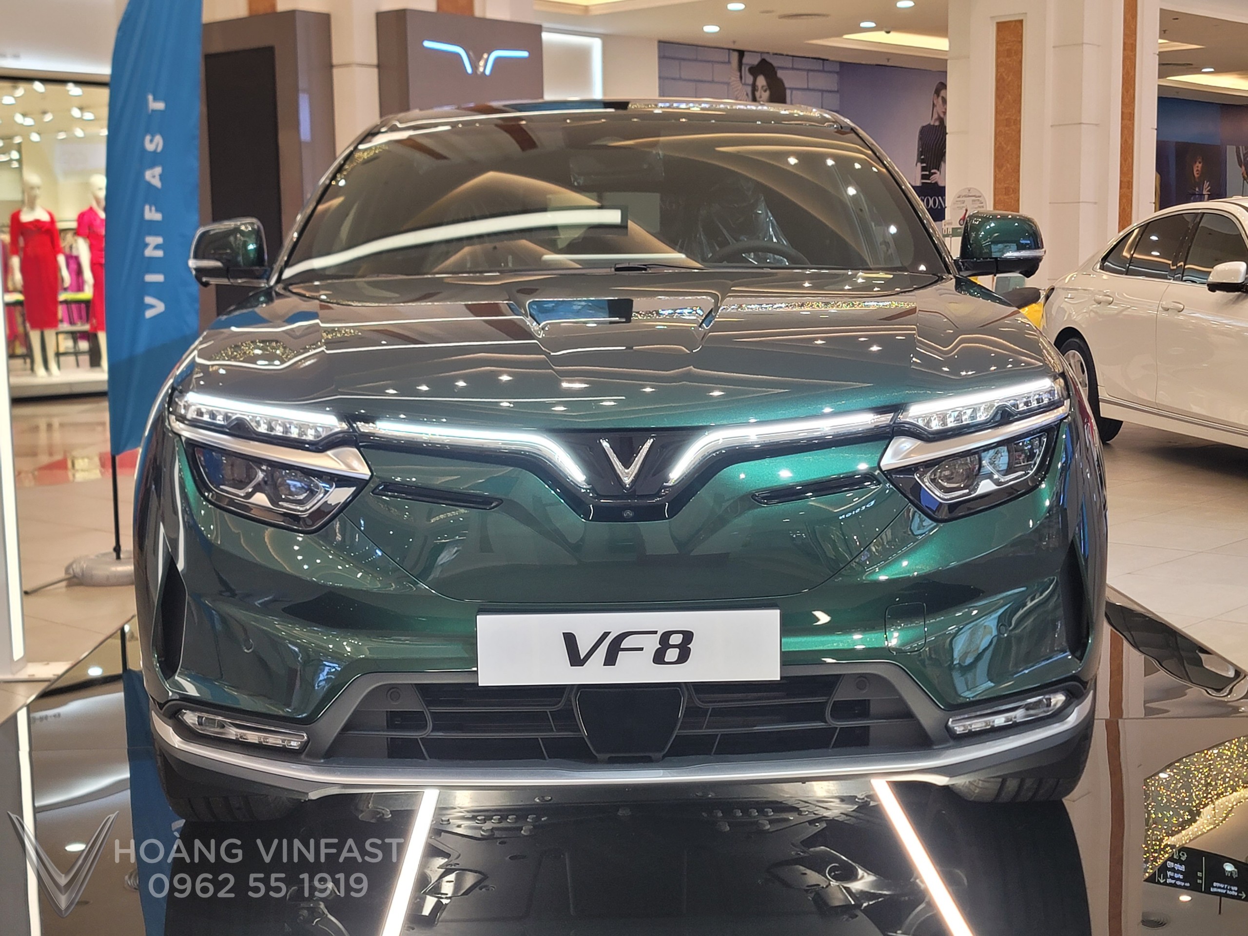 Phần đầu VinFast VF8 Eco và Plus